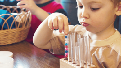 Montessori Eğitimi çocuklara nasıl uygulanır? Montessori nedir, faydaları neler? Montessori yatak